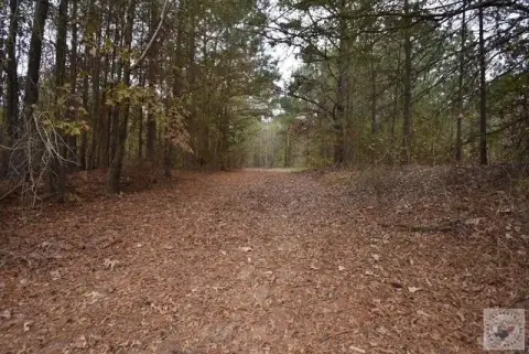 Texarkana Land with Lake Access