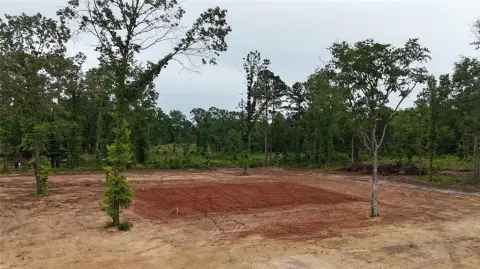 Ready-to-Build Subdivision Land in Diana