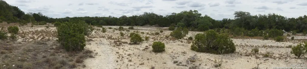 Picture 23