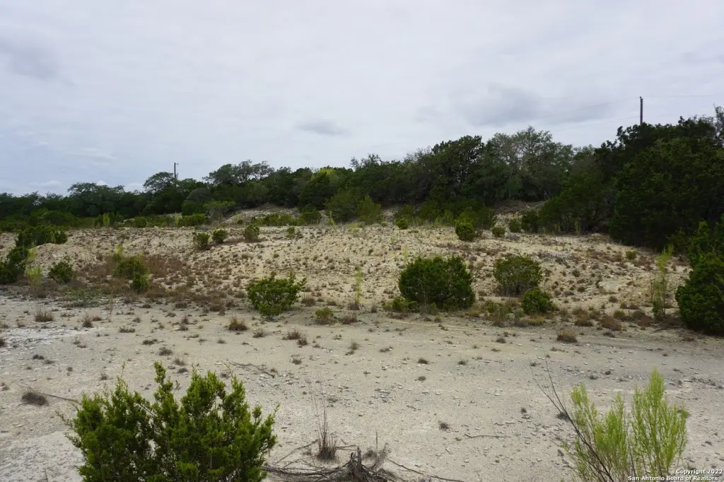 Picture 43
