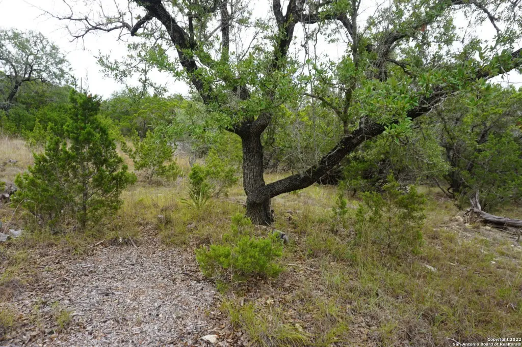Picture 32