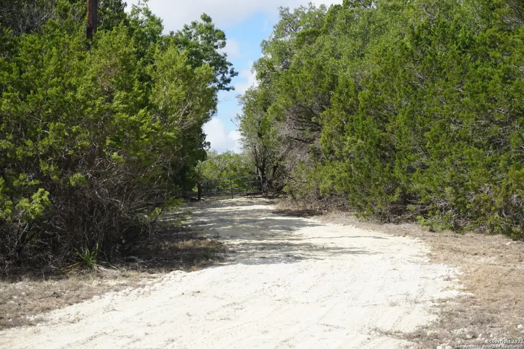 Picture 10