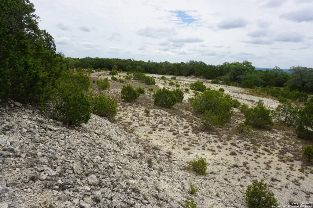 Picture 25