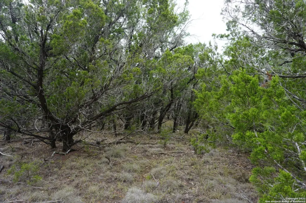 Picture 37