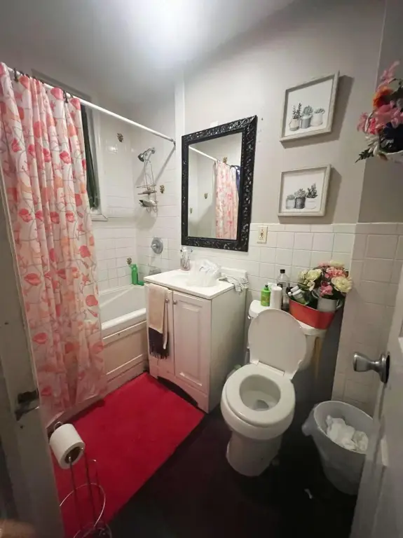 Picture 5