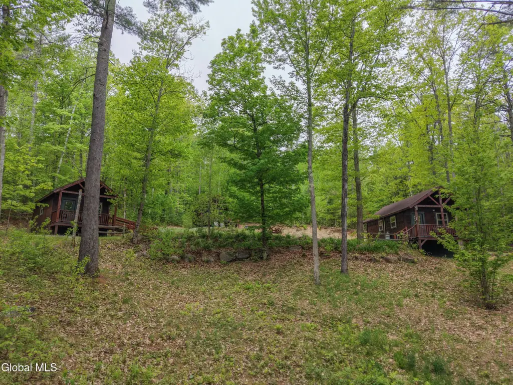 Picture 5