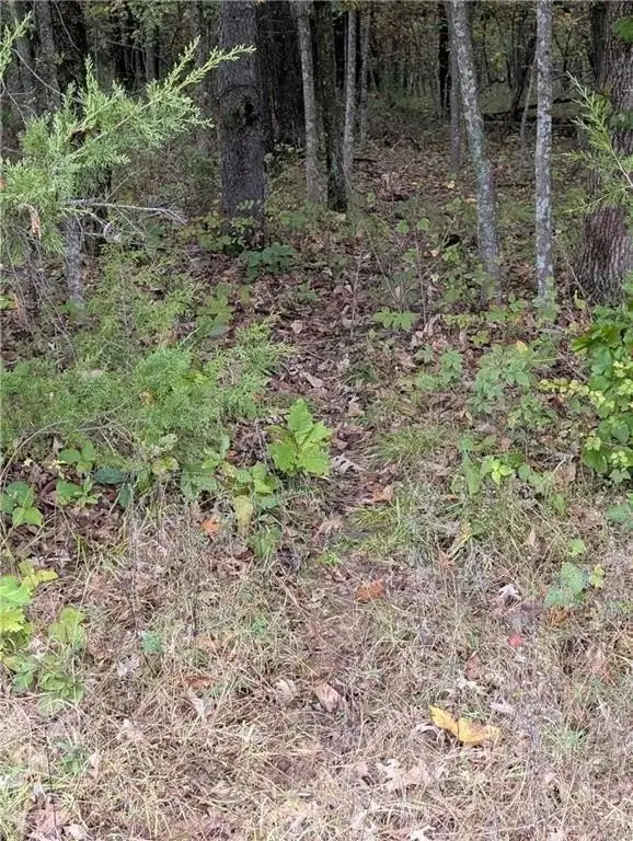 Picture 12
