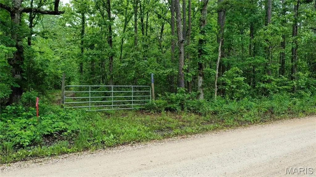 Picture 3