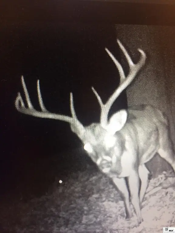 Picture 14
