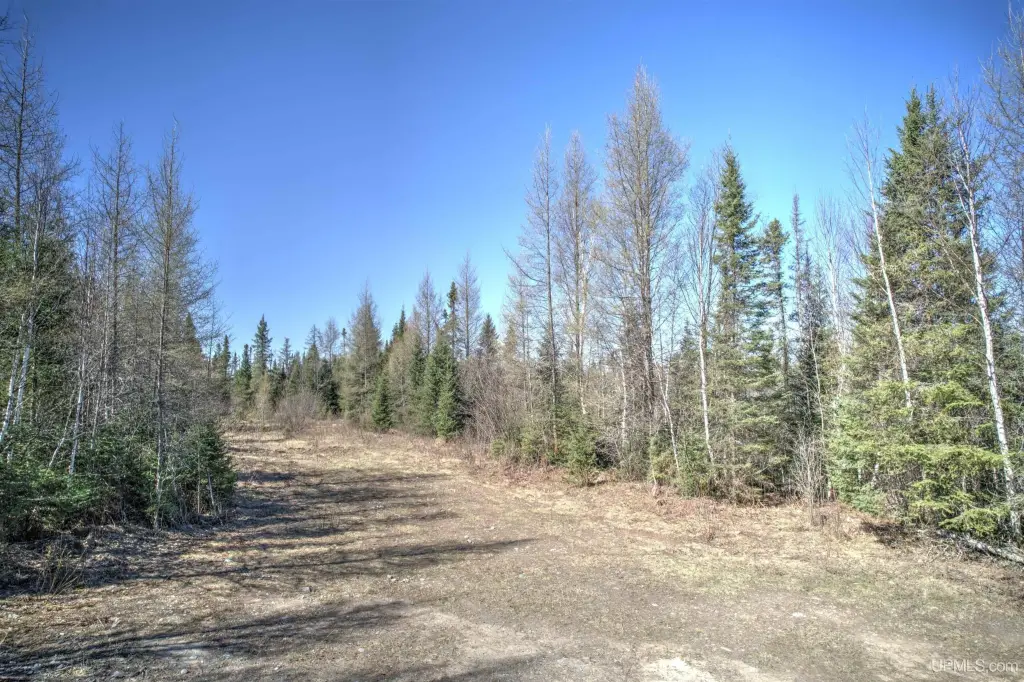 Picture 15