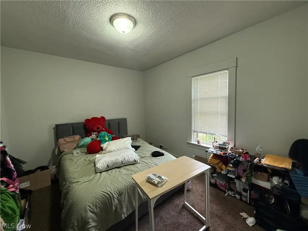 Picture 8