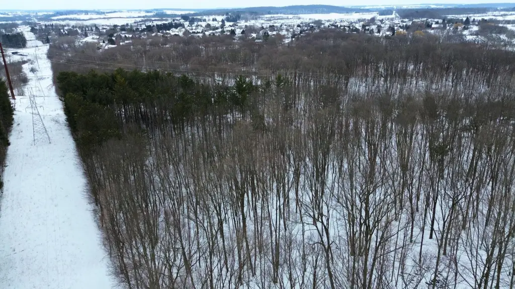 Picture 14