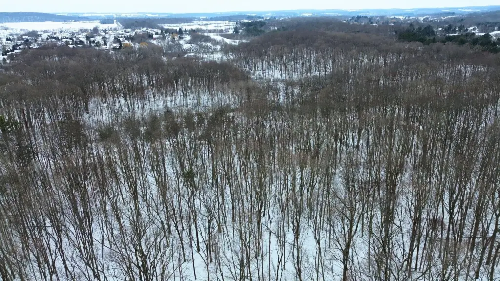 Picture 11