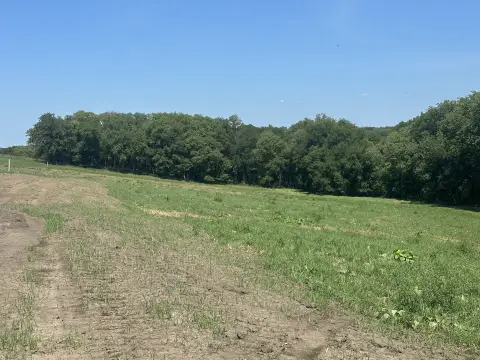 Recreation Land with Timber