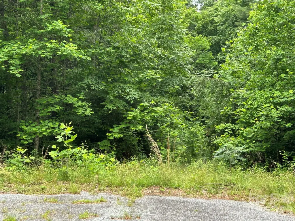 Picture 2