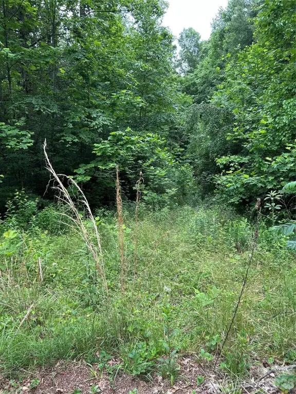 Picture 3