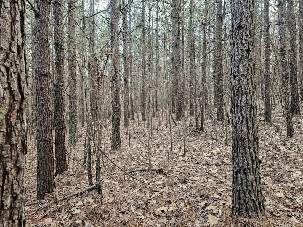 Picture 34