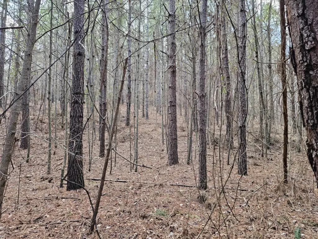 Picture 24