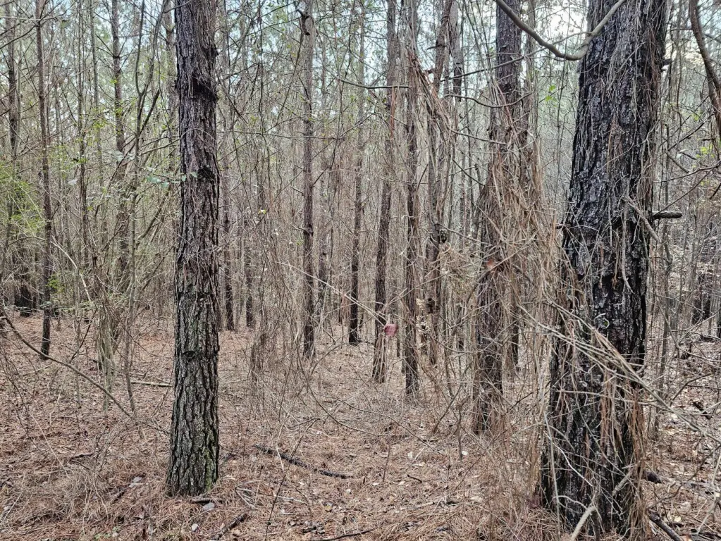 Picture 30