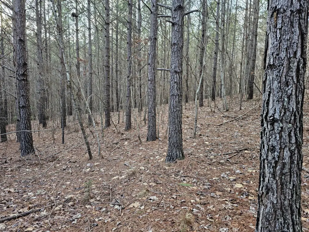 Picture 27