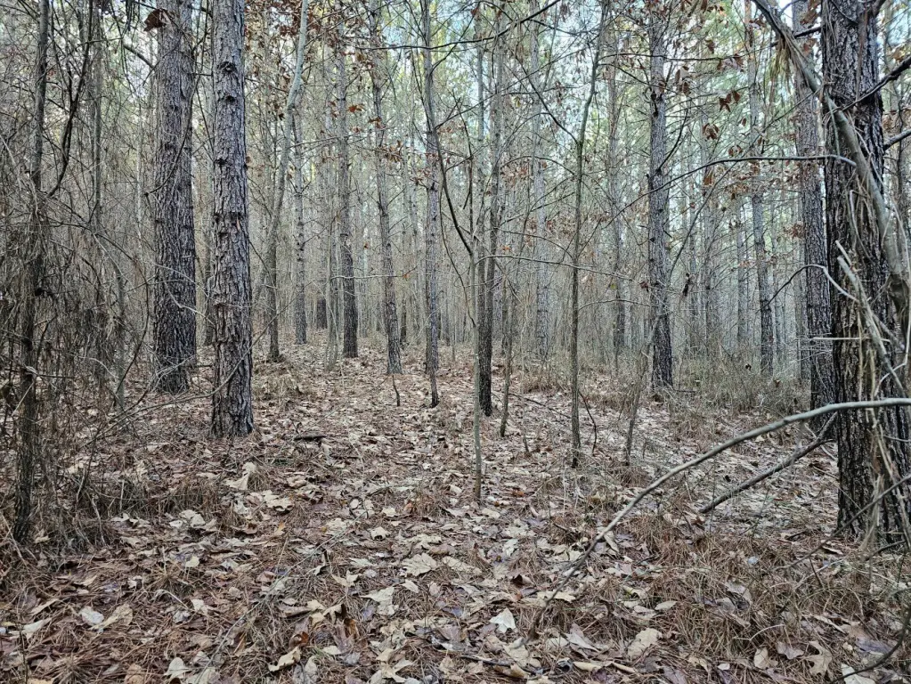 Picture 16