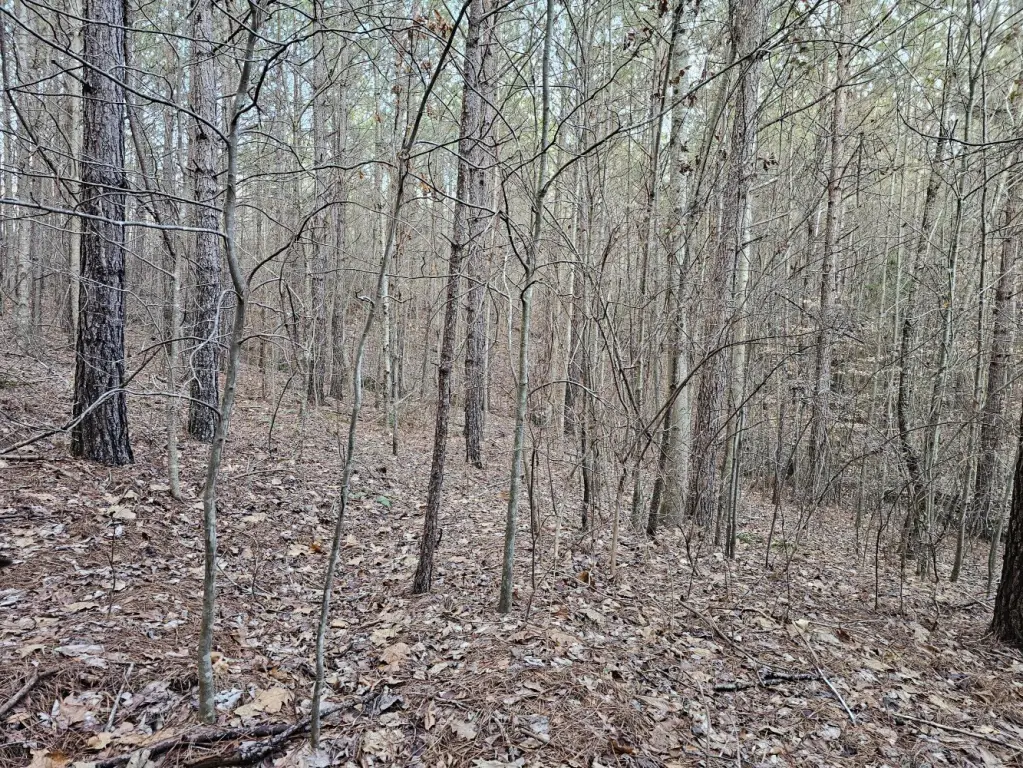 Picture 26