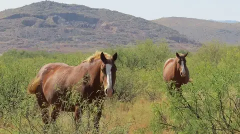 74.96 Acres Vacant Land