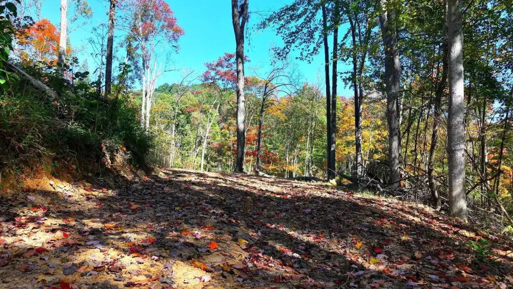 Picture 14