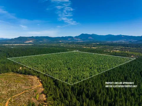 Timber and Recreation Land