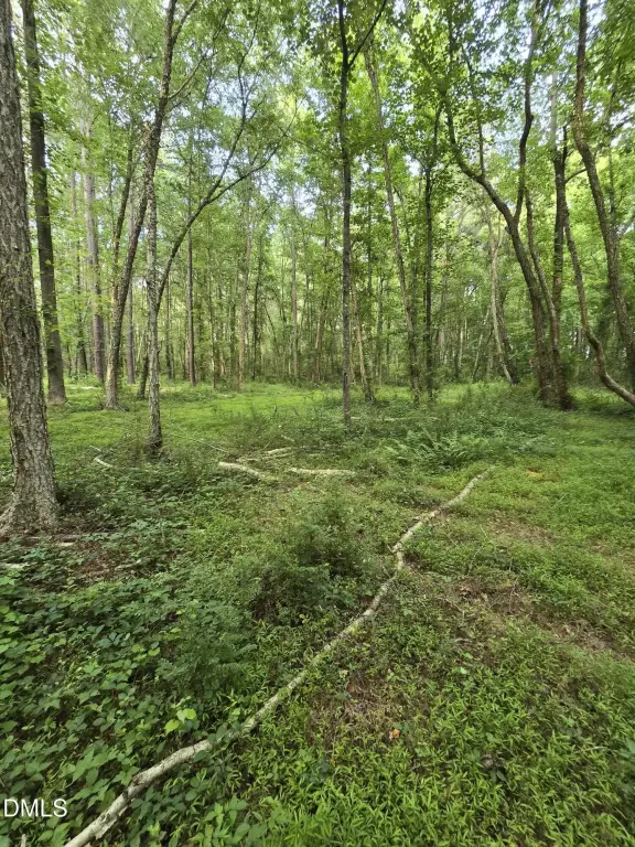 Picture 16