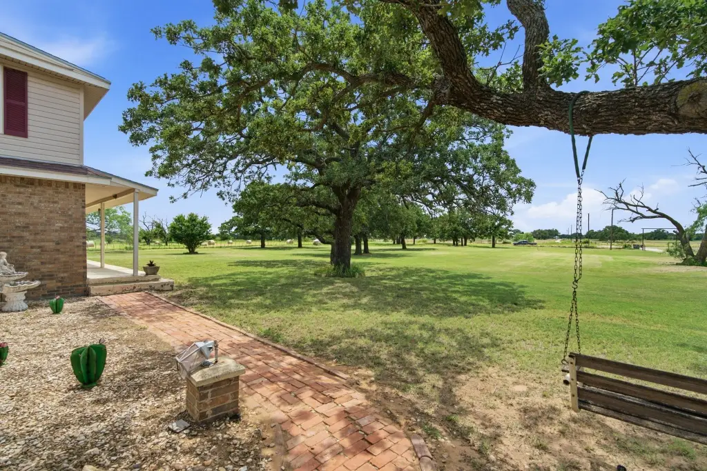 Picture 35