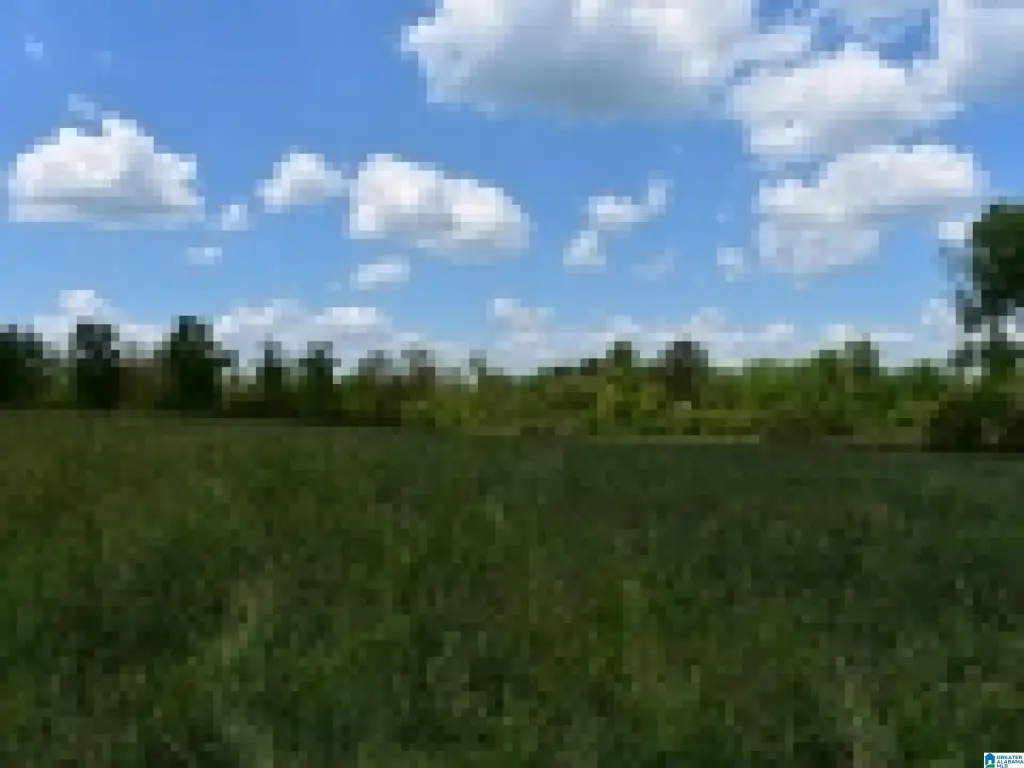 Picture 33