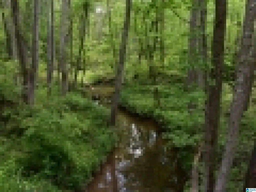 Picture 29