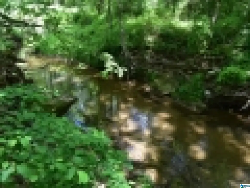Picture 32