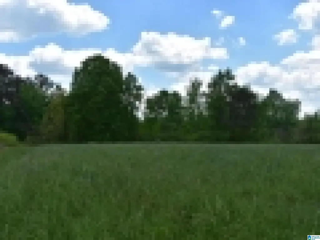 Picture 28
