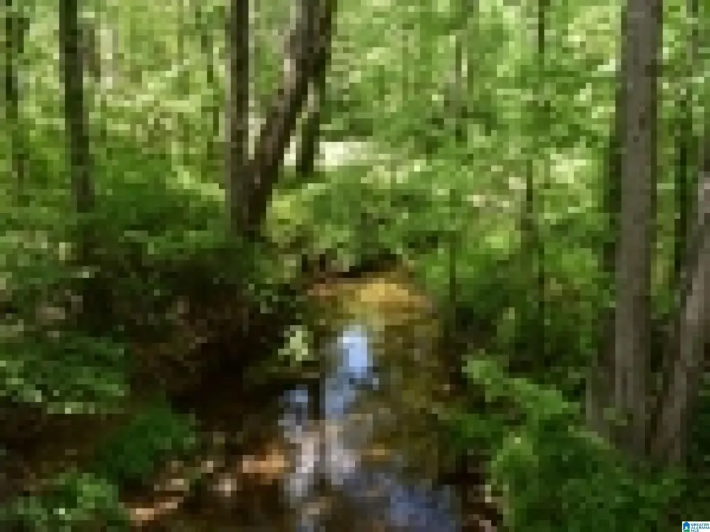 Picture 36
