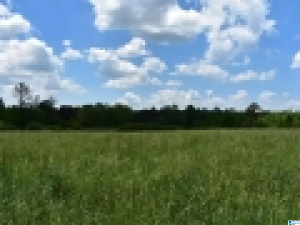 Picture 38