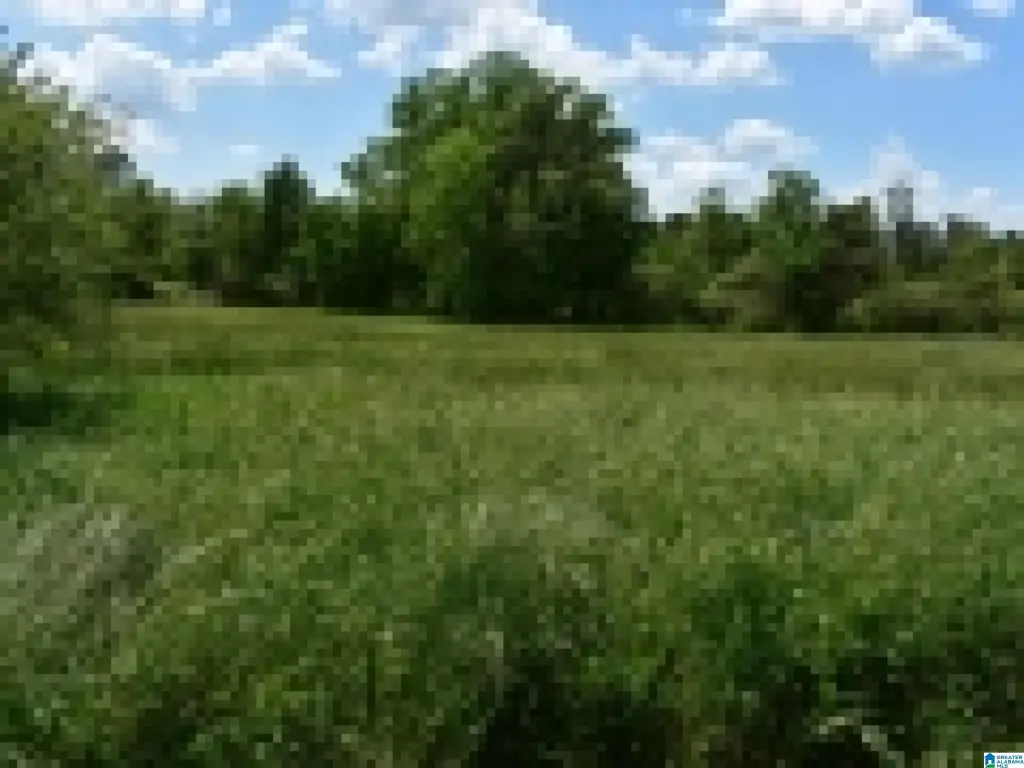 Picture 30