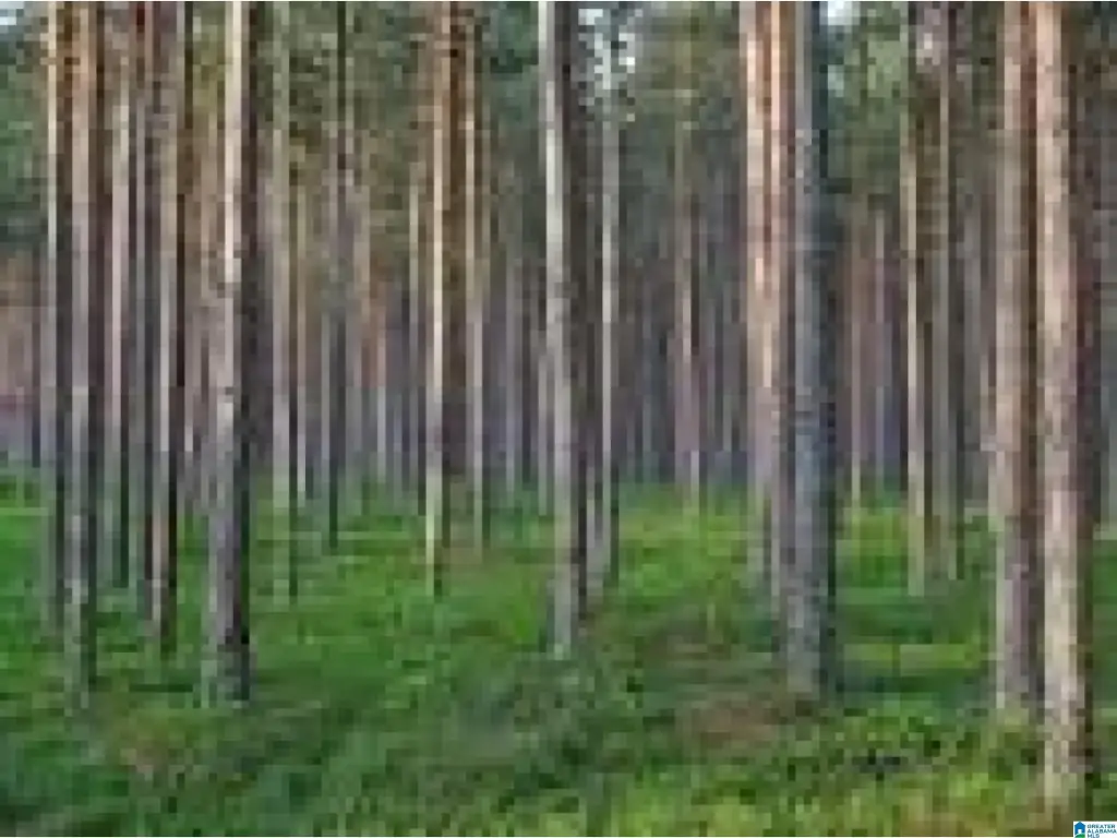 Picture 39