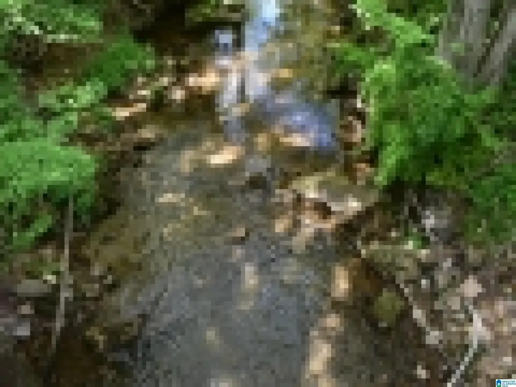 Picture 26