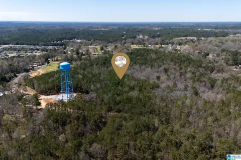14.5 Acres in Brookwood, AL