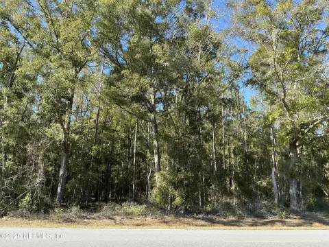 Spacious Land in Bell, Florida