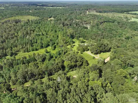 Expansive Acreage in Westville, Florida