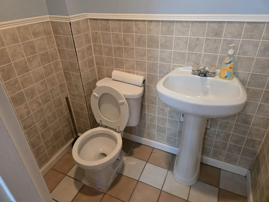Picture 11