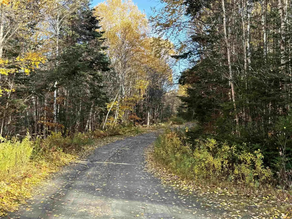 Picture 38
