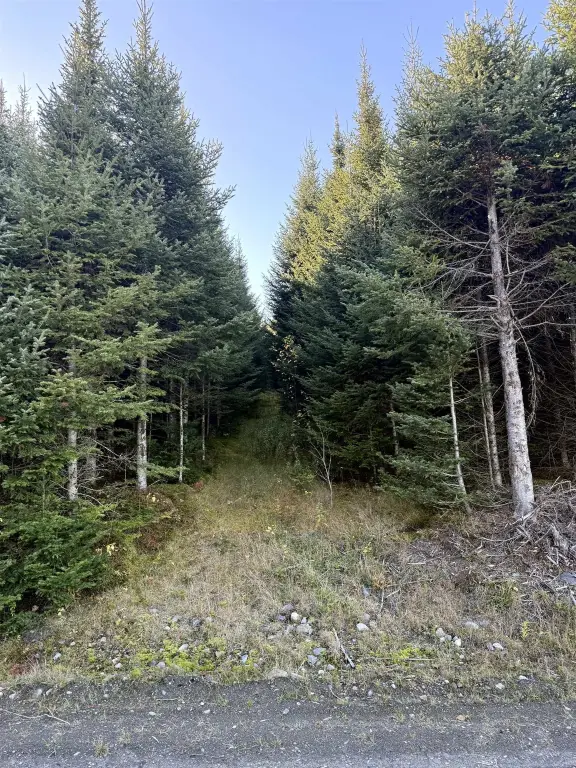 Picture 18