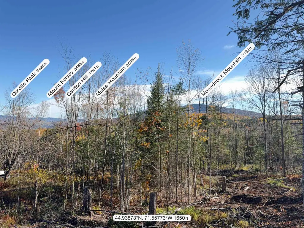 Picture 40