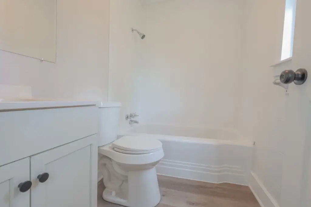 Picture 16