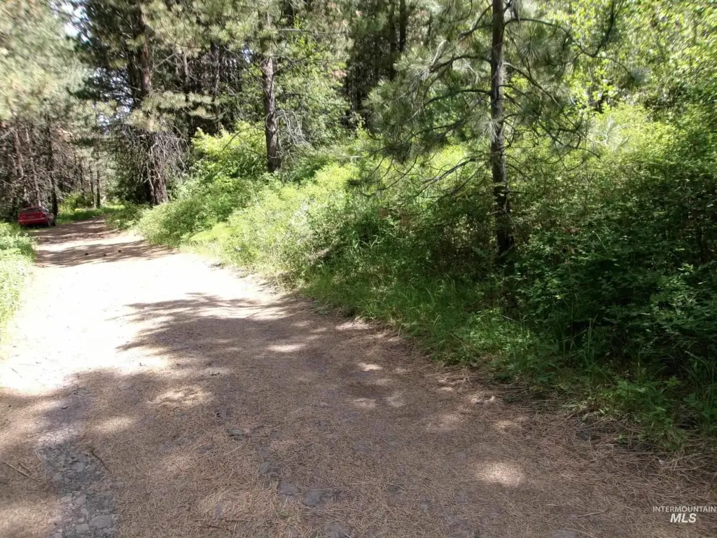 Picture 9