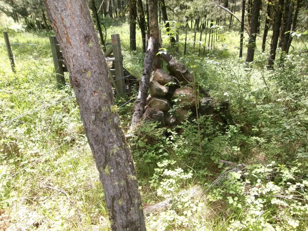 Picture 25